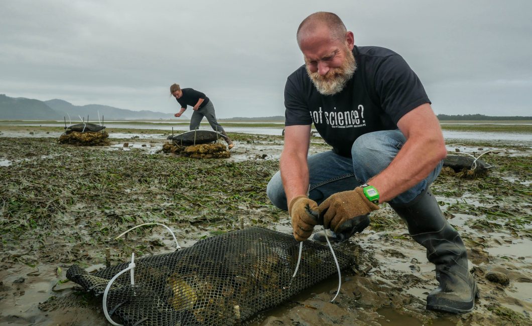 Oregon beard dude with oyster shells on beach